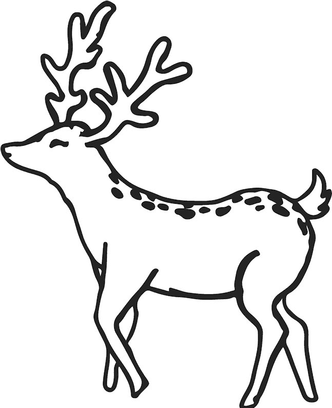 Олень контур