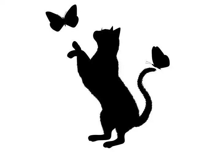 Силуэт котенка