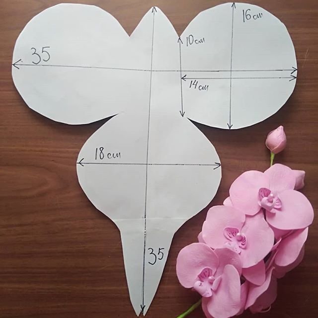 Большие бумажные цветы