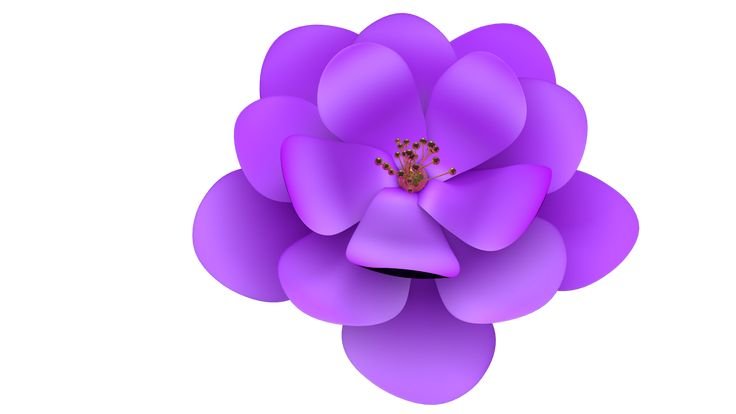 Сиреневые цветы