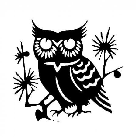 Сова в окне