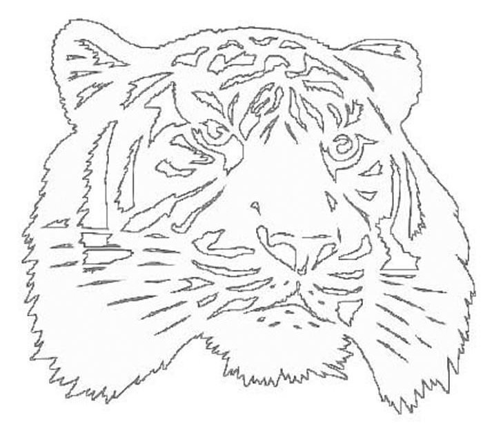 Вытынанка тигра