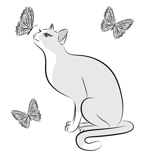 Раскраска котик с бабочкой