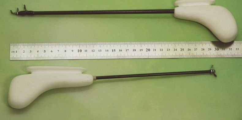 Кобылка блеснилка