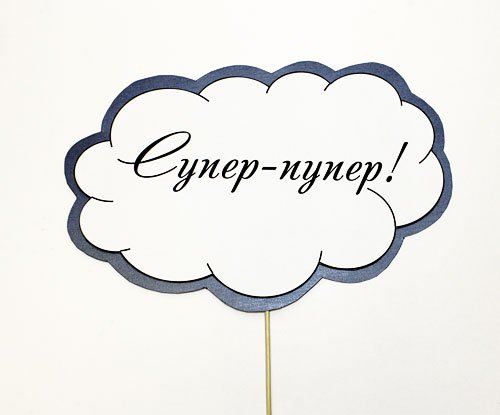 Таблички на палочке для фотосессии