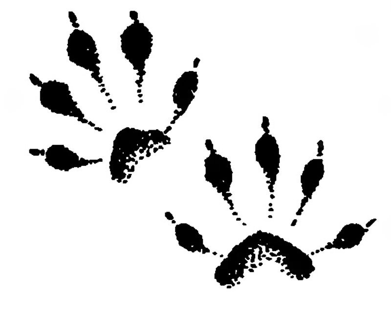 Следы ежика