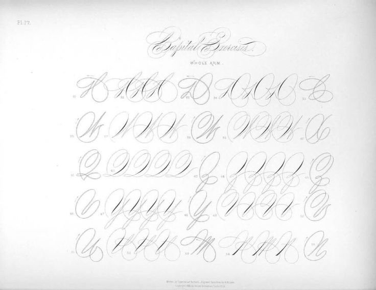 Каллиграфия упражнения копперплейт