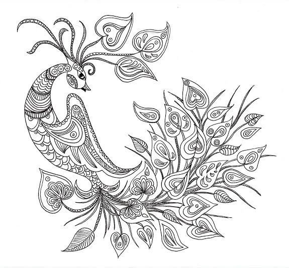 Сказочная птица раскраска