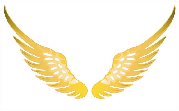 Крылышки для снитча