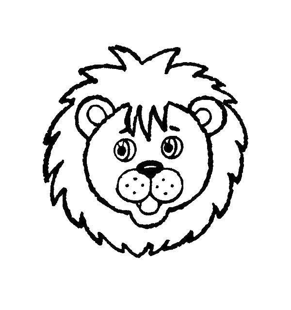 Мордочка Льва для аппликации