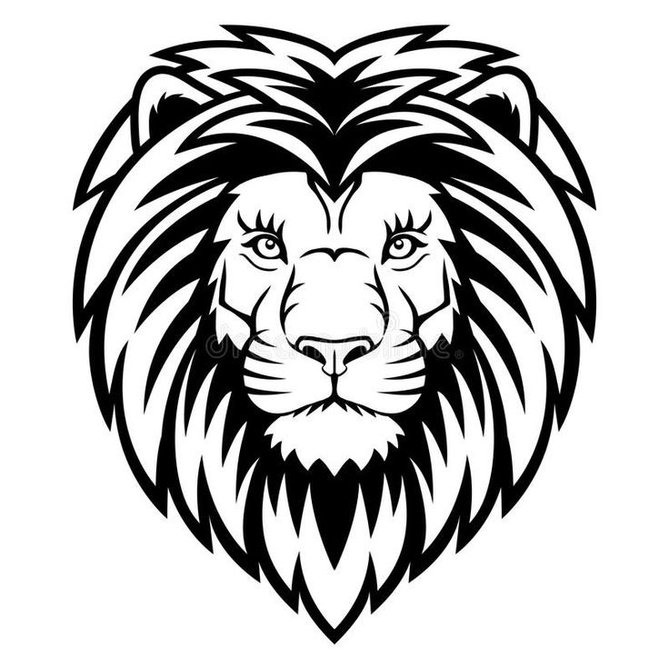 Мордочка Льва