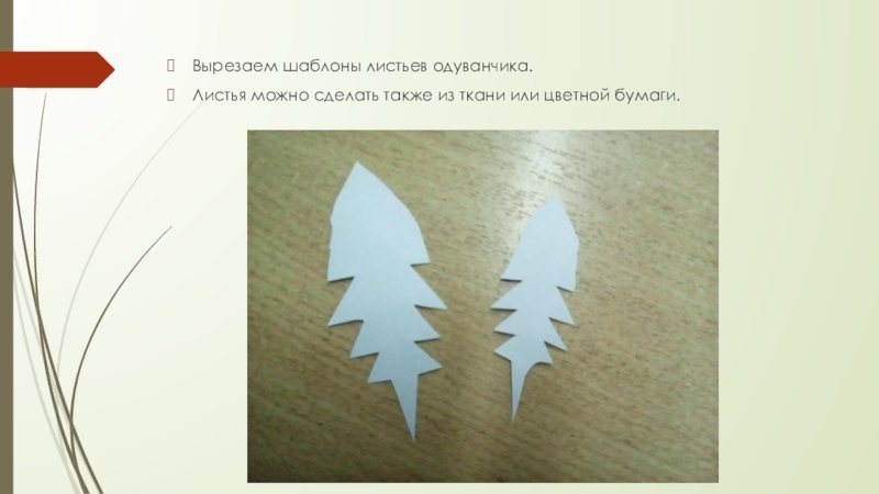 Шаблон листьев одуванчика