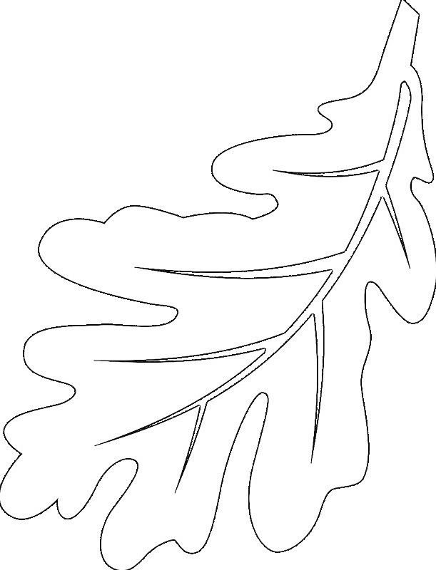 Лист дуба трафарет для вырезания