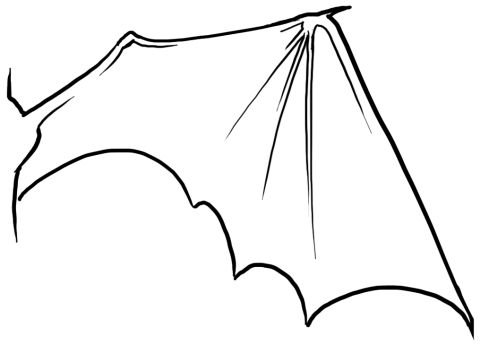 Крылья дракона