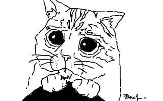 Кот из Шрека