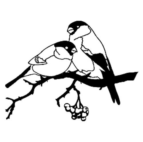 Снегирь на ветке трафарет