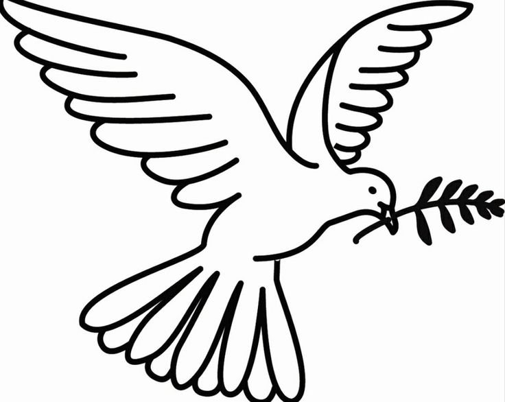 Голубь рисунок