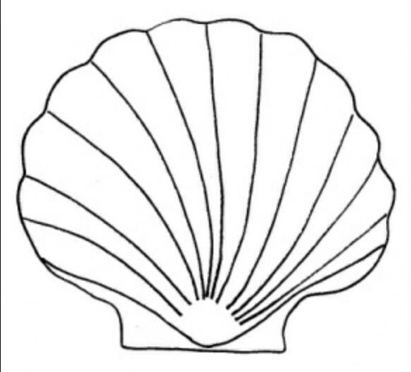 Трафарет морские раковины