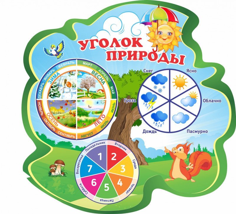 Календарь природы для детского сада