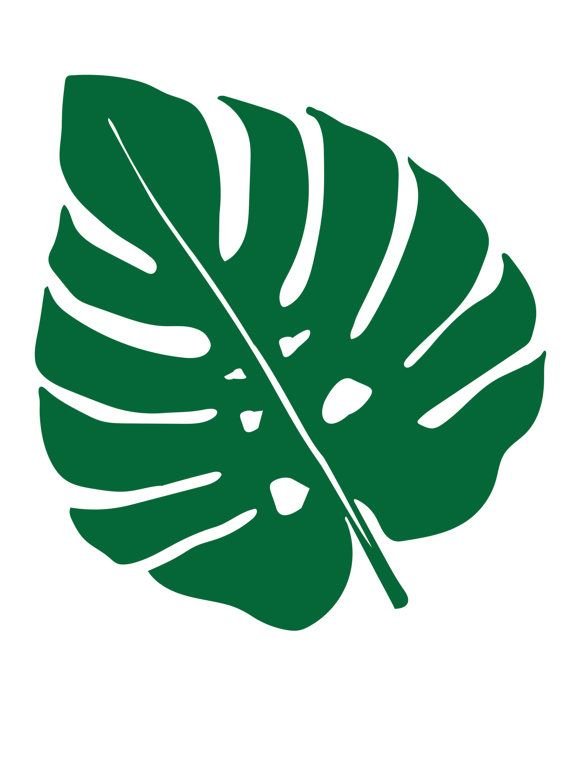 Лист монстеры для вырезания