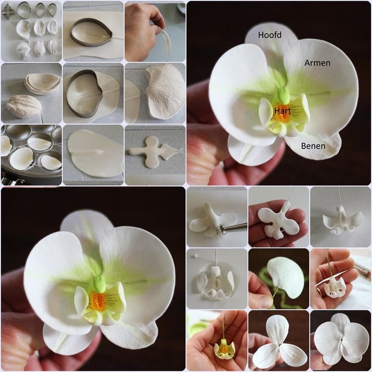 Цветы из полимерной глины