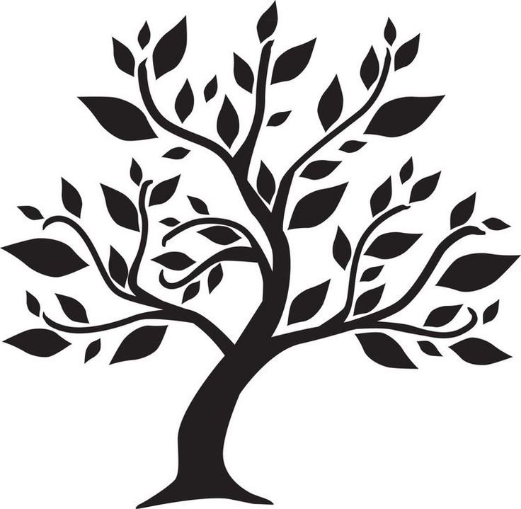 Красивый силуэт дерева