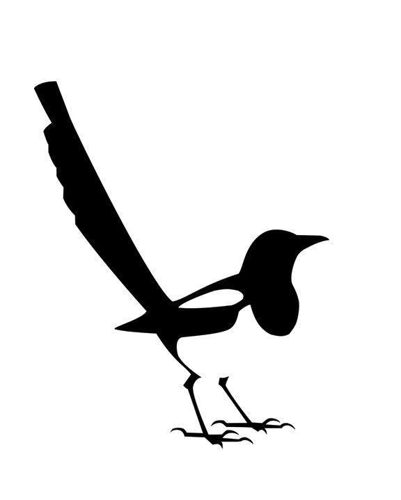 Сорока рисунок