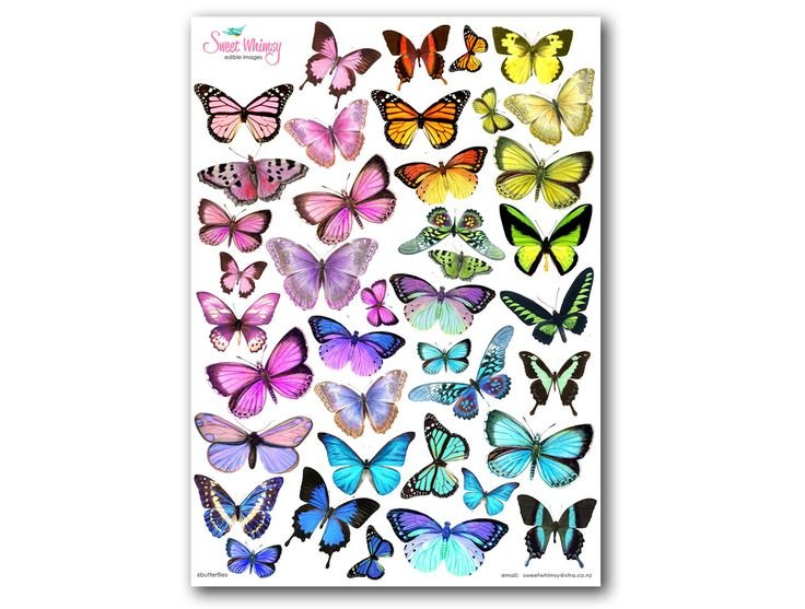 Красивые наклейки бабочки