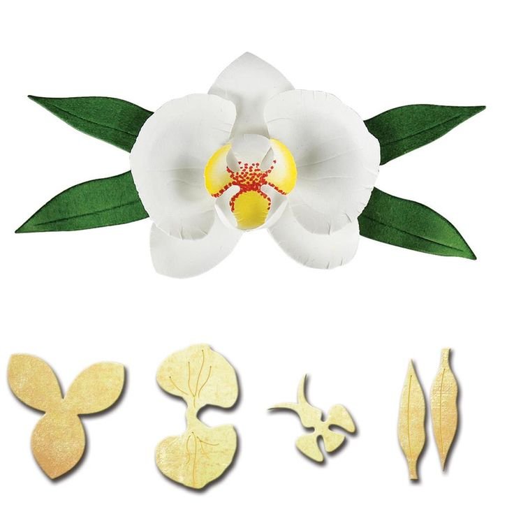 Нож для вырубки Орхидея