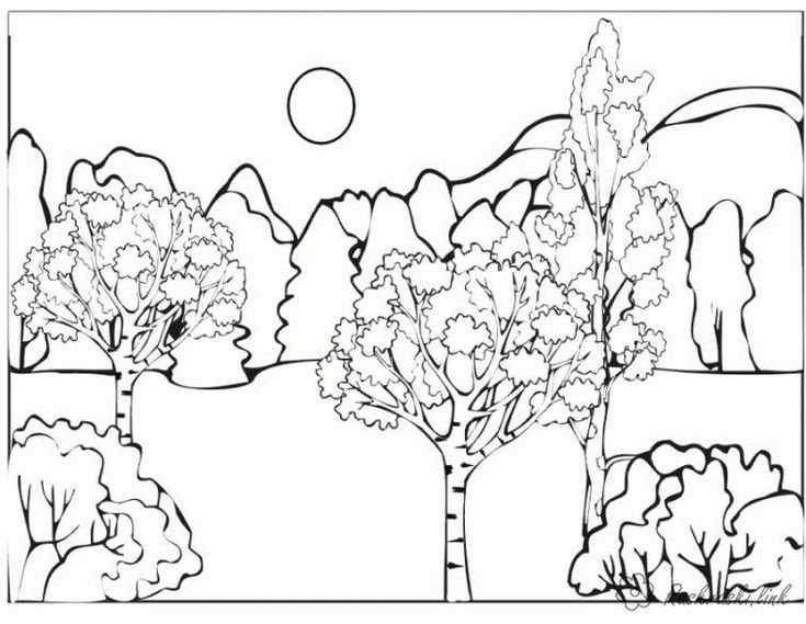 В лесу. Раскраска