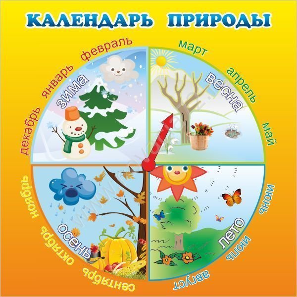 Календарь природы для детского сада