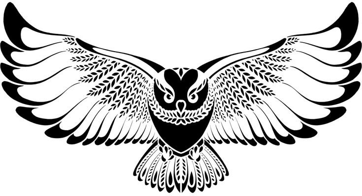 Сова трафарет