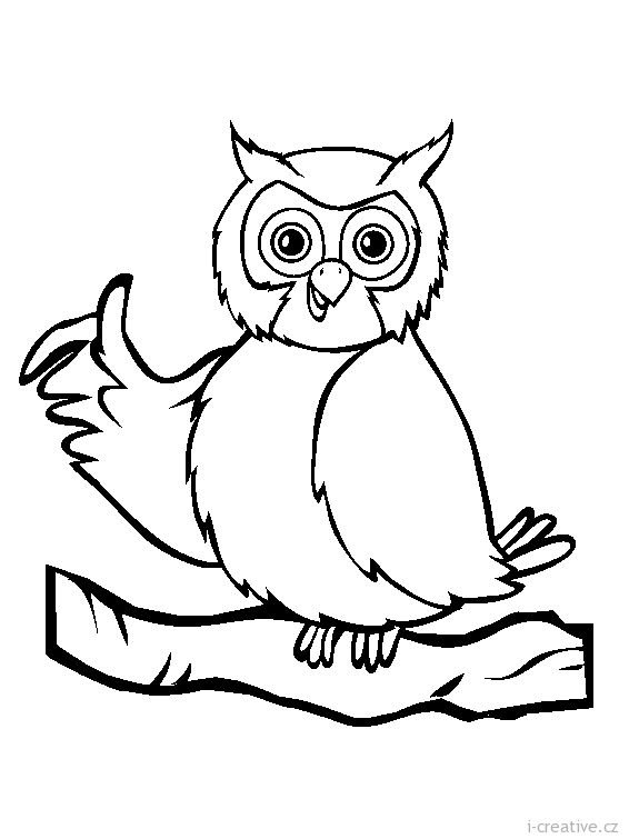 Совушка раскраска для детей