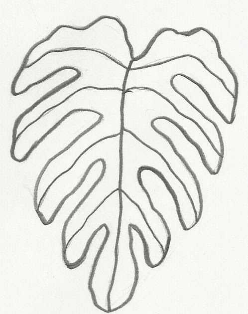 Трафарет тропических листьев
