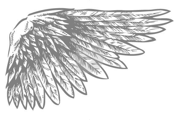 Крылья перья