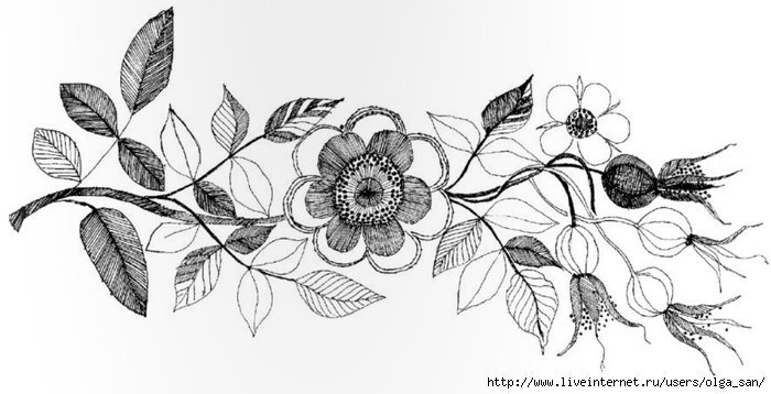 Шиповник гладью