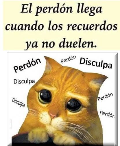 Кот в сапогах Шрек