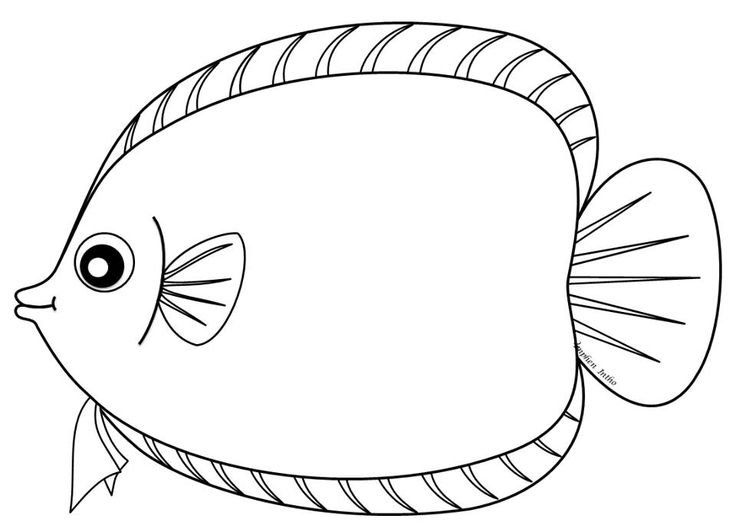 Рыбка контур для детей