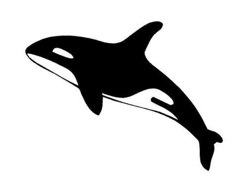 Касатка силуэт