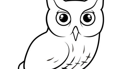 Птицы. Раскраска