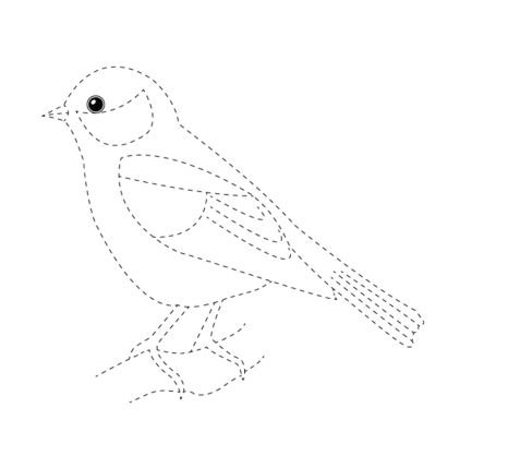 Рисование птиц по точкам