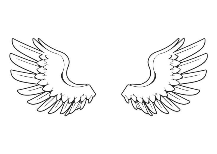 Крылья раскраска