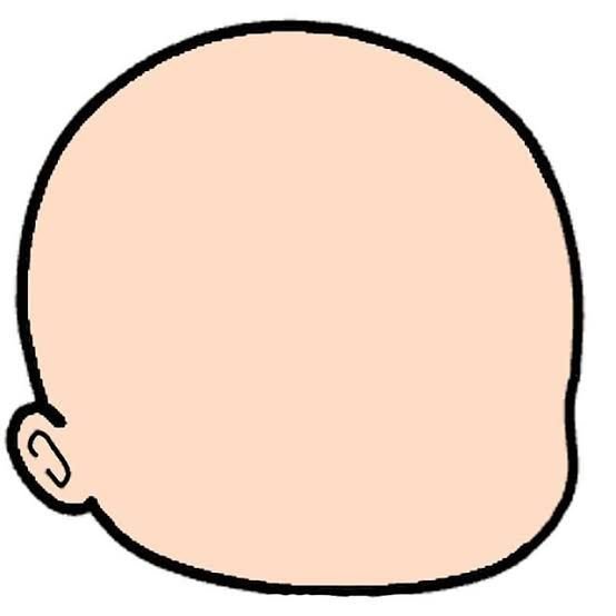 Голова без волос