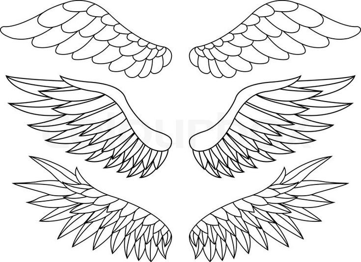Крылья контур