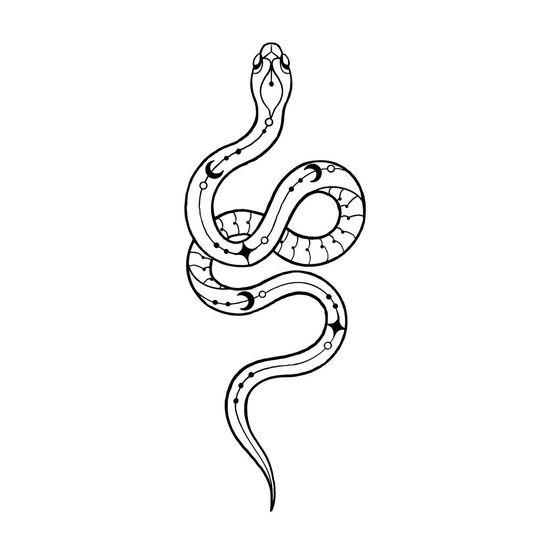 змея на окно