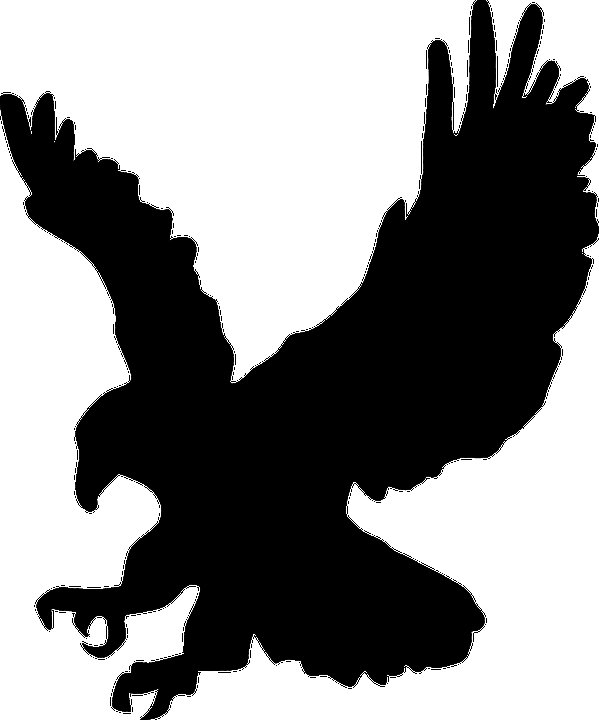 Силуэты хищных птиц