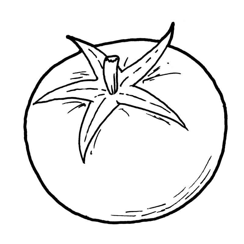 Помидор раскраска
