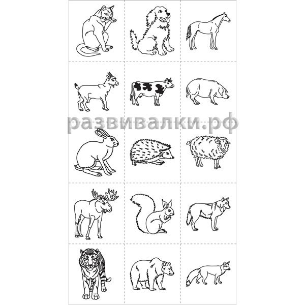 Карточка с заданиями домашние животные