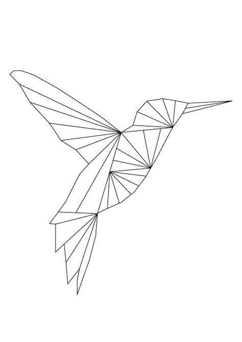 Колибри эскиз