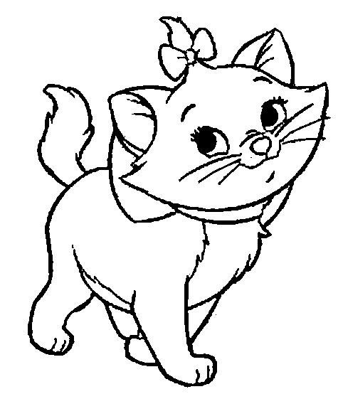 Котик раскраска для детей